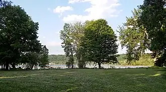 The picnic area in the cottonwood grove