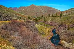 Valley near Pine