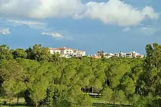 Alsos Akadimias National Forest