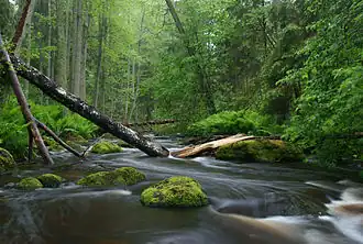 Altja river