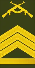 Sargento-chefe (Angolan Army)[3]