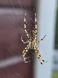 In Norway