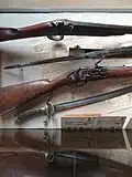 Presidio arms