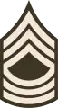 E-8 insignia