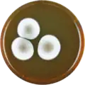Aspergillus heyangensis growing on MEAOX plate