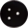Aspergillus wisconsinensis growing on CYA plate