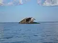 SS Atlantus