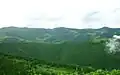 A view of Ayenehlu forests