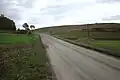 Fields