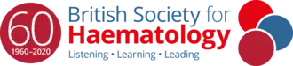 Official 60th Anniversary BSH logo