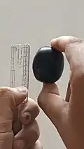 Badlapur Jamun size measurement – Approx. 3.5 cm in length