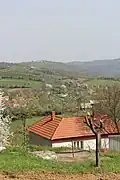 Balinović - panorama