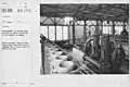 Vacuum pumps for natural gas processing (circa. 1920)