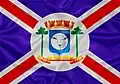 Flag of Carlos Chagas