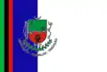Flag of Pereiras