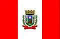 Flag of São José dos Ausentes
