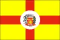 Flag of Saltinho