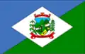 Flag of São Bonifácio