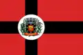 Flag of Sapopema