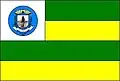 Flag of Anhanguera