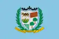 Flag of Goianésia do Pará