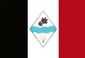 Flag of São Raimundo das Mangabeiras