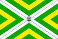 Flag of São Simão