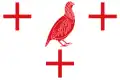 Flag of El Perdigón, Spain