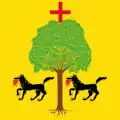 Flag of Santa Cruz de la Salceda