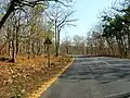 Bandipur Tiger Reserve