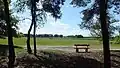 A bench called Linda