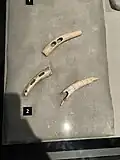 Horse bridle parts made from antler, Hungary