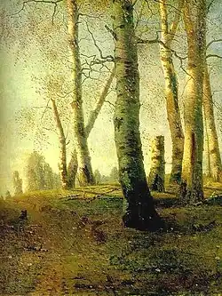 Birch Grove
