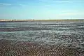 Rye Harbour