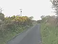 Paved back road, Llanfairyneubwll, Isle of Anglesey, UK