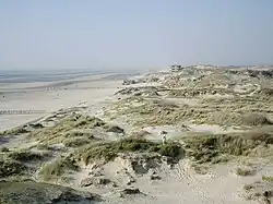 The dunes