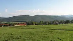 Views of the fields
