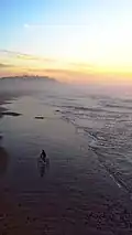 Beach in the sunset