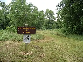 Grounds