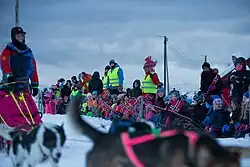 A musher in 2017
