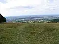 Butterfly reserve