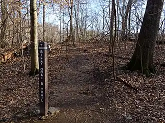 Downstream entrance of the B trail, just above Carderock