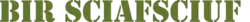 Computer simulation of Battle Honour