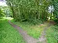 Bisley Common