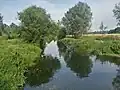 River Chelmer near Papermill Lock, Little Baddow