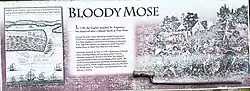 Bloody Mose