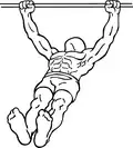 Supine rear delt row begin
