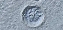 A topographic map illustrating the elevation of Bonestell crater.