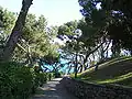 Pineta del Capo, Bordighera