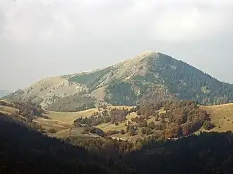 Borišov